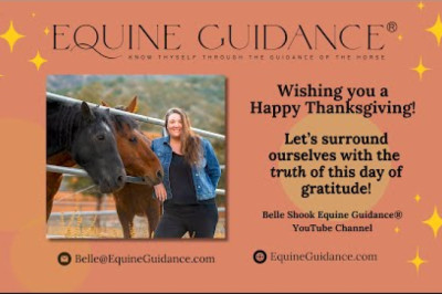Belle Shook Equine Guidance®